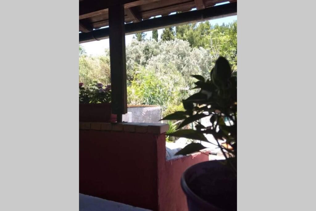Green Hill Studio Corfu Town Extérieur photo