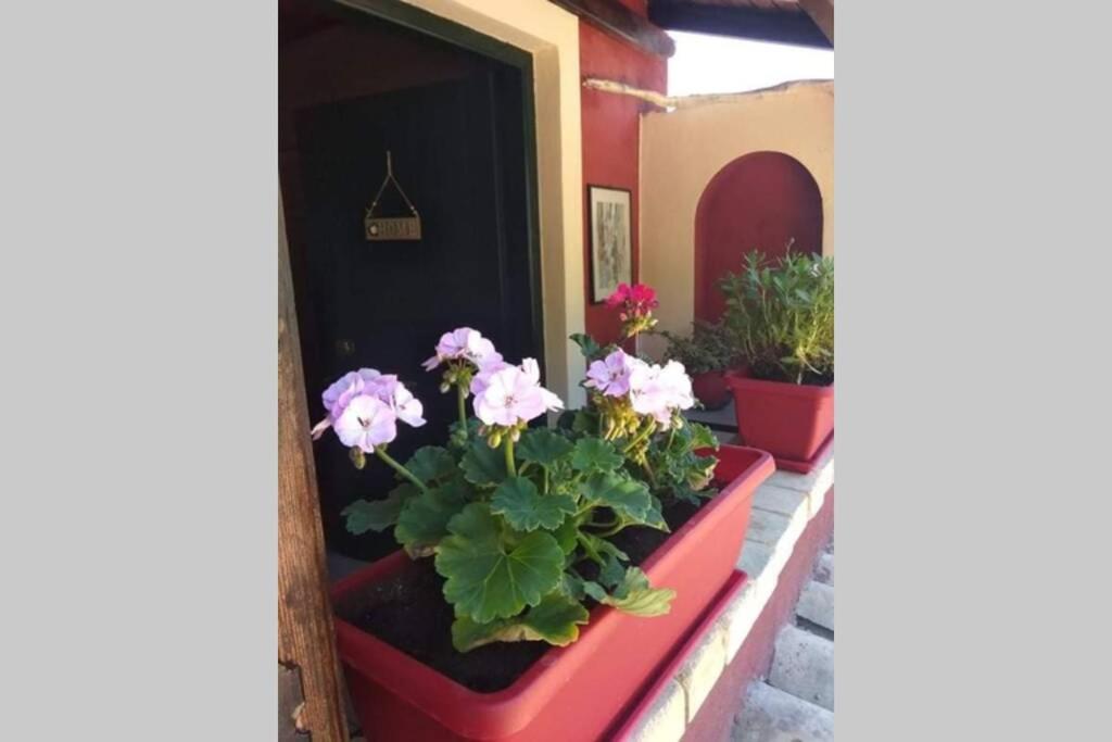 Green Hill Studio Corfu Town Extérieur photo